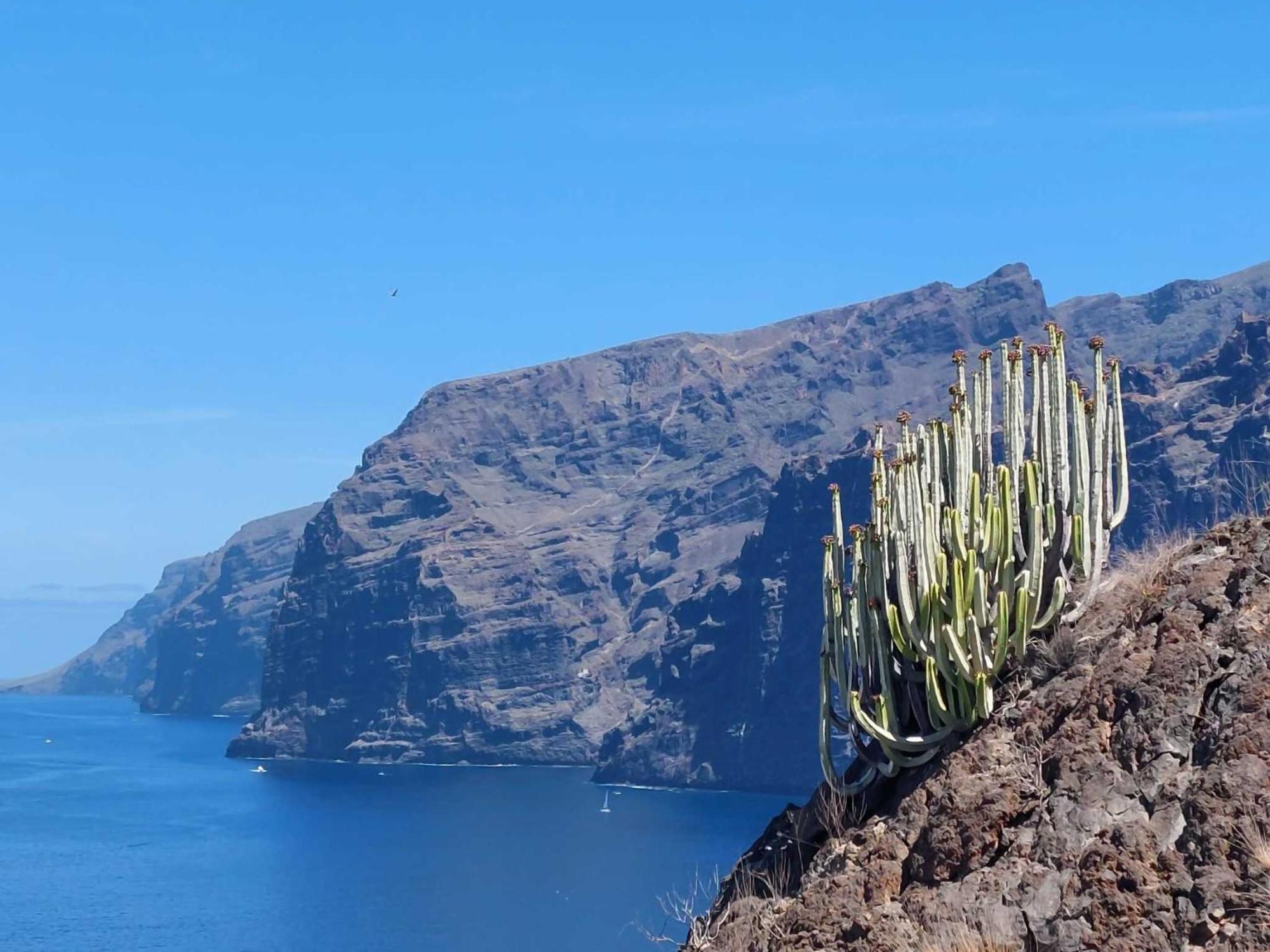 Appartamento Mareverde Centrale Vicino Al Mare Ma Costa Adeje (Tenerife) Exterior foto